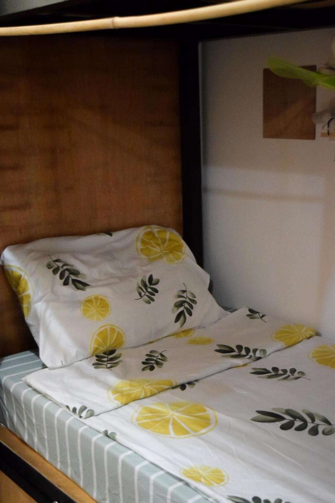 The Backyard Inn Moalboal Εξωτερικό φωτογραφία